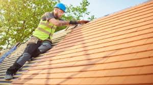 Best Roof Insulation Installation  in Mayville, WI