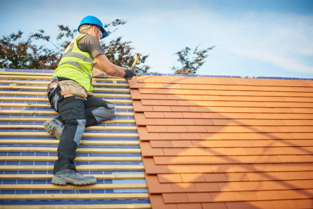 Best Roof Coating and Sealing  in Mayville, WI