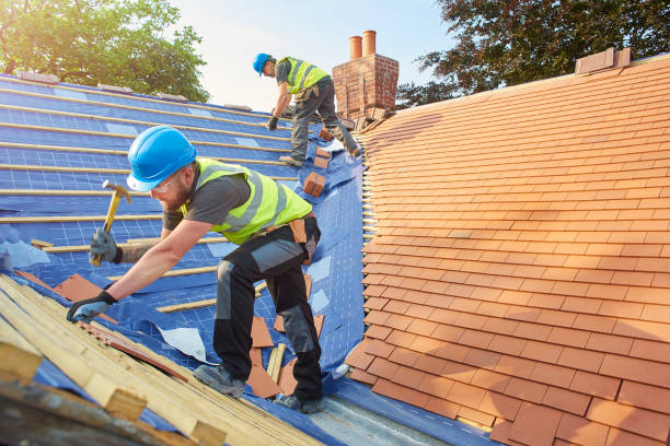 Best Asphalt Shingle Roofing  in Mayville, WI